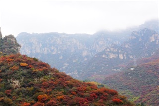 有关红叶的古诗词《蝶恋花·庭院碧苔红叶遍》
