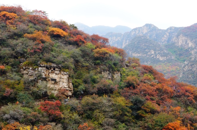 有关红叶的古诗词《山中》 有关红叶的古诗词《山中》