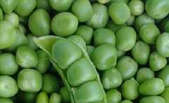 豌豆的营养价值
