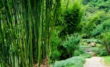 风
