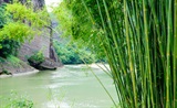 山中杂诗